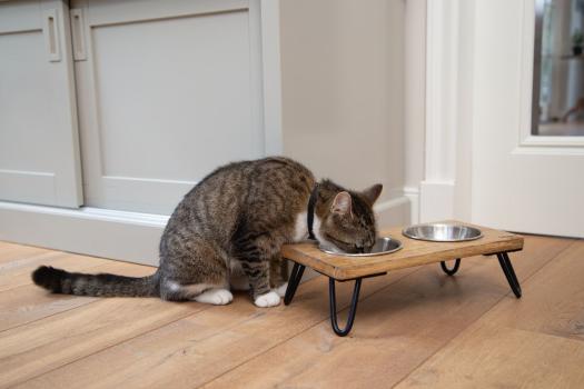 Designed by Lotte Futterbar Linga aus Echtholz für Katzen und kleine Hunde z.B. Chihuahua, Futterstation, Doppelnapf